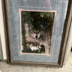 Wolf Pic Frame