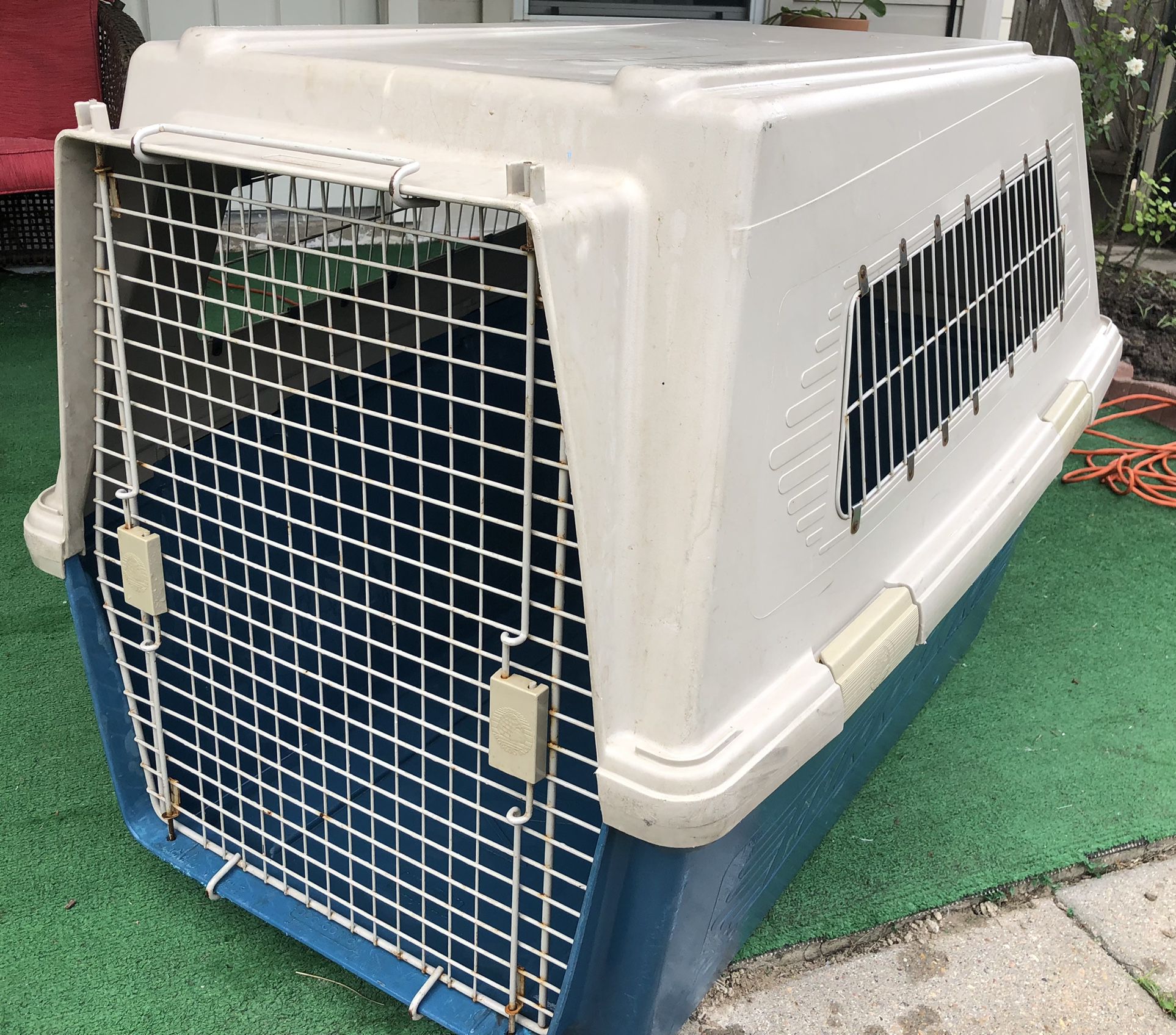 extra large plastic dog kennel 