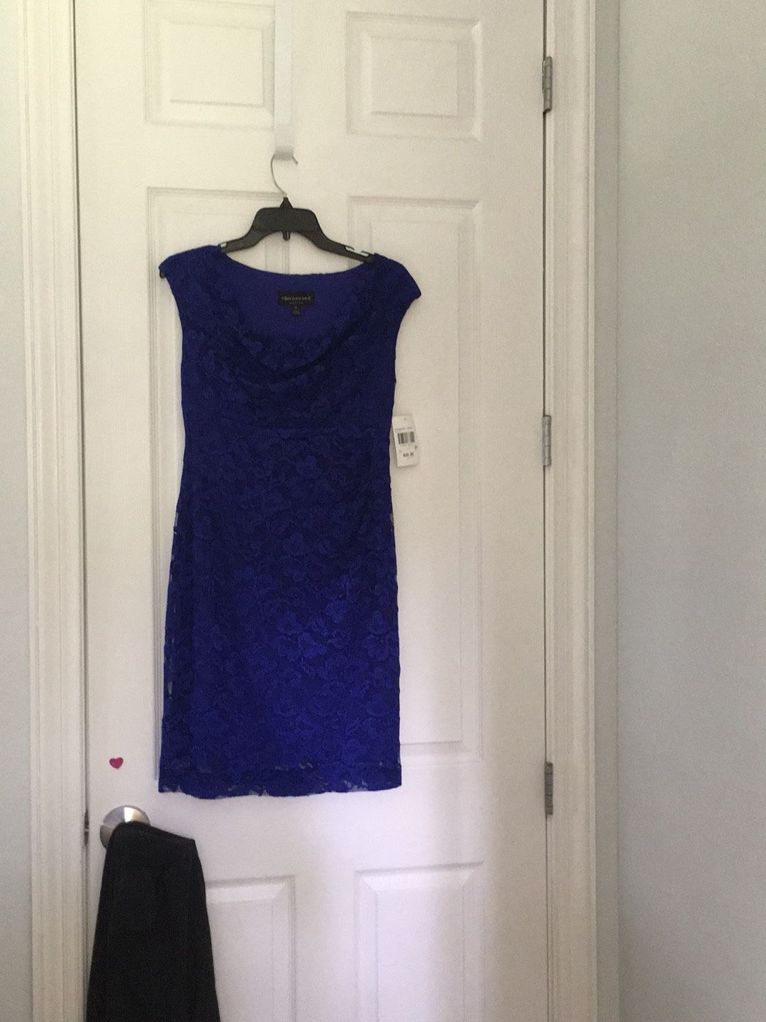 NWT Connect women’s Dress sz 6P royal blue lace PROM FORMAL WEDDING