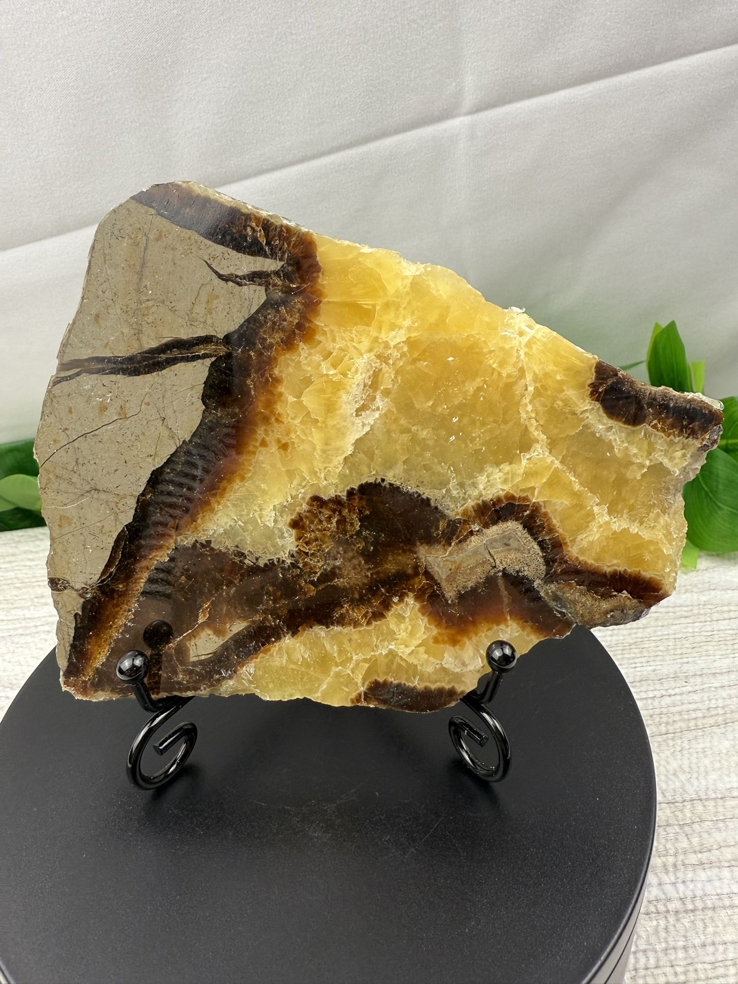 Crystal Septarian Slab
