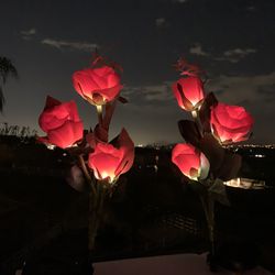 6 Red Rose Solar Led Light. Yard Decoration 30 Inches Tall