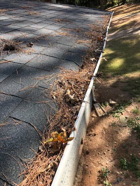 Gutter Cleaning