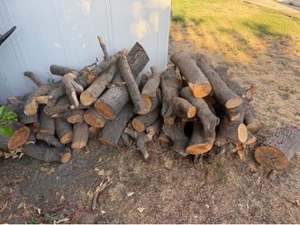 Free wood available for pick up