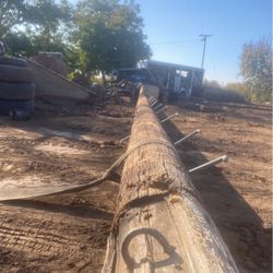 Telephone poles