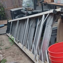 10 Ft Weisman Ladder