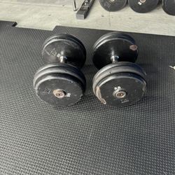 55 Lbs Dumbbells 