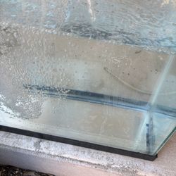 45 gallon aquarium fish tank
