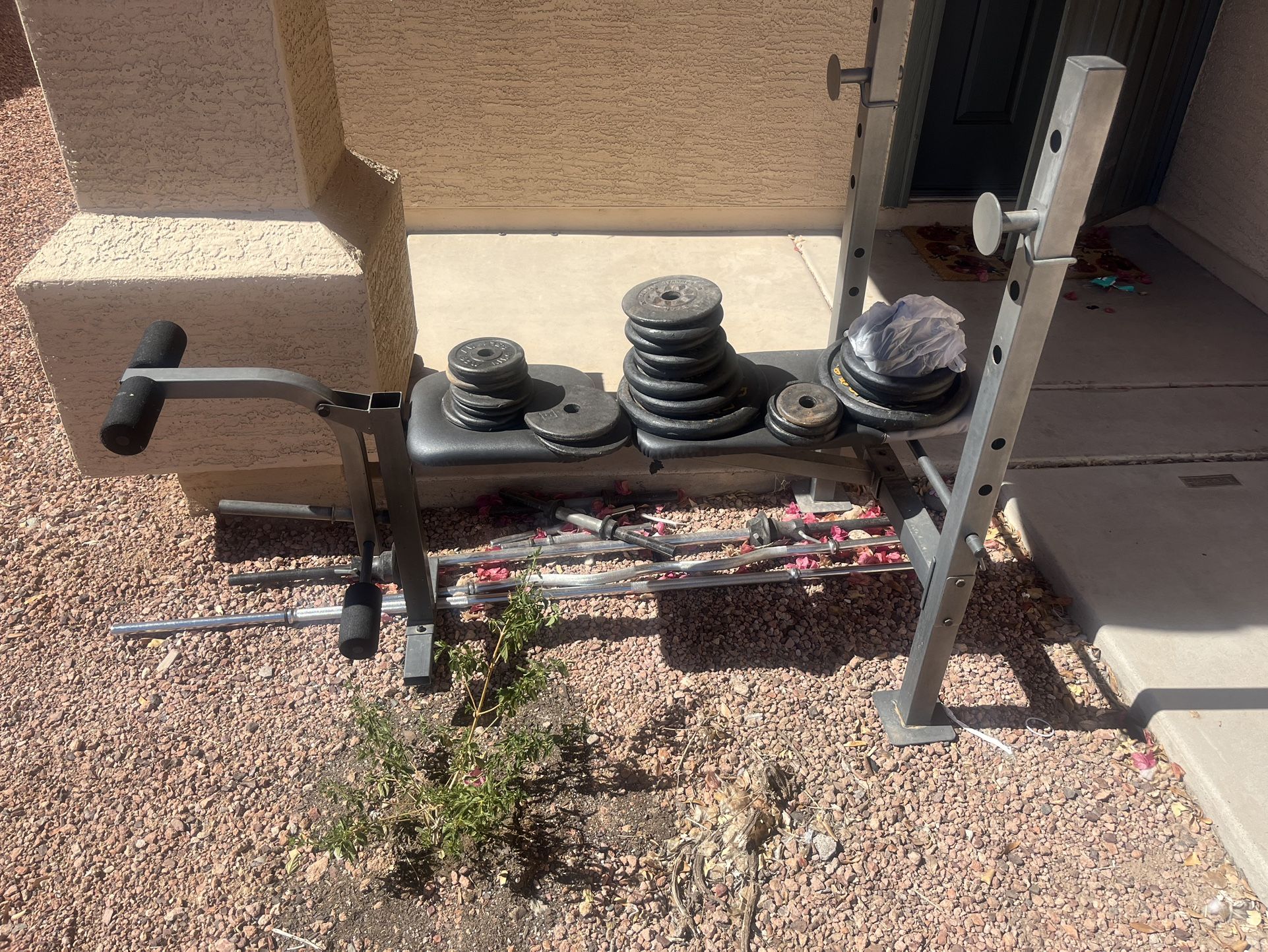 Workout Bench, Weights, Bars