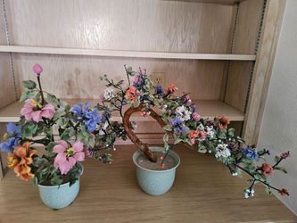 SET OF BONSAI TREES