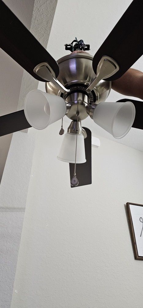 Ceiling Fan