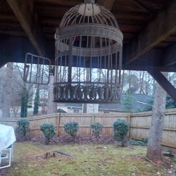 Bird  Cage Bird  🐦  Feeder
