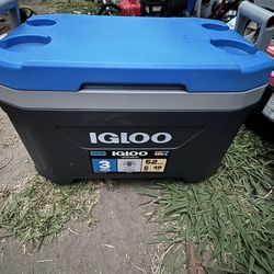 Igloo Cooler 