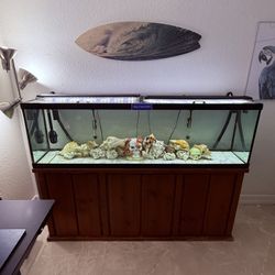 120 Gallon Fish Tank 