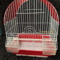 Parakeet Cage/food