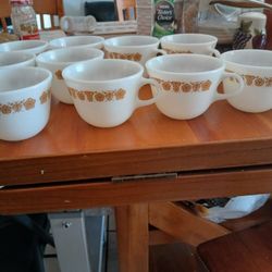 Coffee Cups 