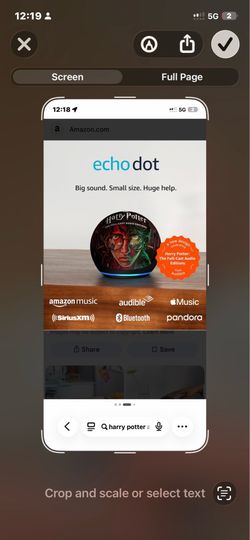 Echo dot(Harry Potter limited edition)
