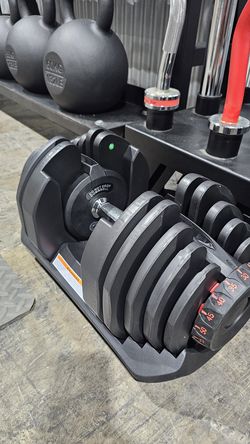 Dumbbells, Bumper Plates, Kettlebells, Barbells, Power Racks and more!