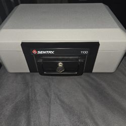 Sentry Safe Like New. $35.00