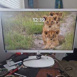 All In One HP 22 Inch 40 Gigs Of Ram