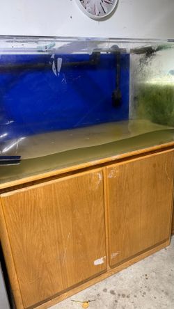 100 gallon acrylic