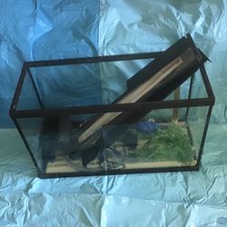 Fish Tank 29 Gallons In Great Condition 