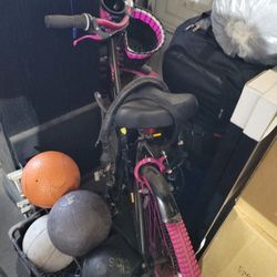 Beach Cruise Susan G