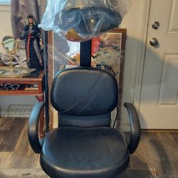 Professional Salon Hair Dryer Chair Combo Never Used 