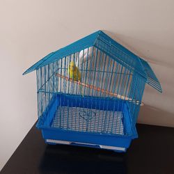 Birds Cages EVerything in The Cages, Jaula Con todo Lo Que Hay dentro