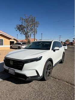HONDA CRV EX-L 2024