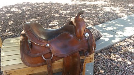 15 inch Circle y reiner, 18 inch bighorn.