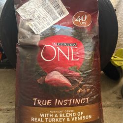 Dog food