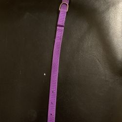 D-11  Collar Ex Small  9" For Dogs Only.  Purple Color.  $3  