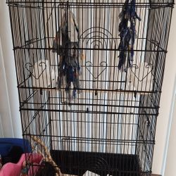 Medium Size Bird Cage