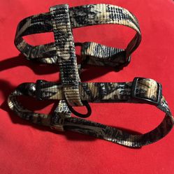 dog leashes