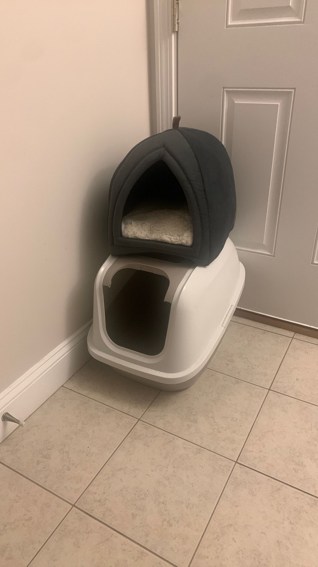 FREE CAT LITTER BOX & BED