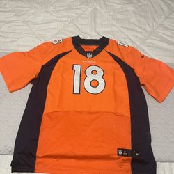 Denver Broncos Peyton Manning NFL Players Jersey in New Condition