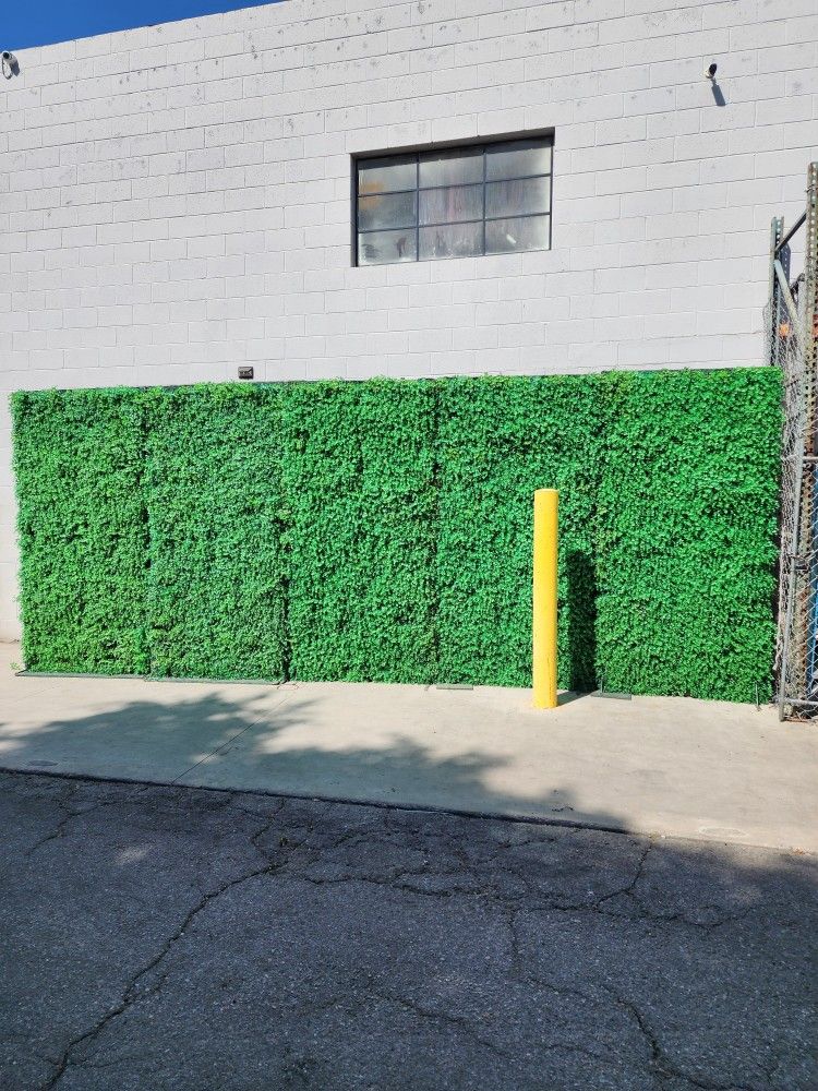Green Backdrop 4ftx8ft 5 Piece