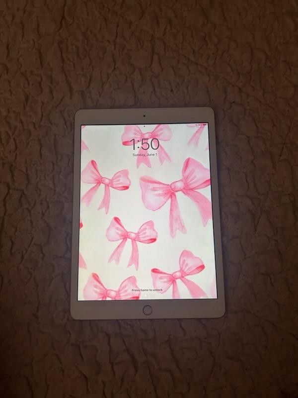 Apple Ipad