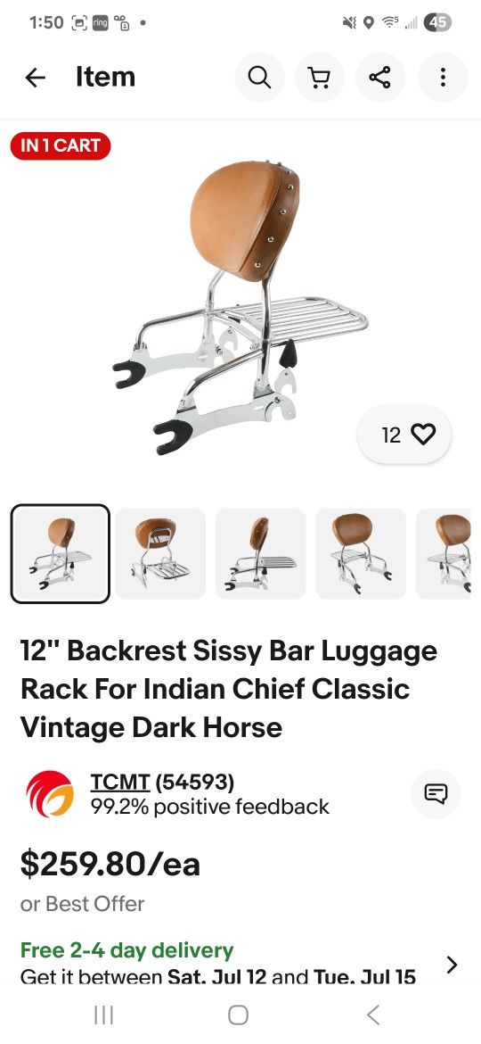 Indian Back Rest And Back Rack