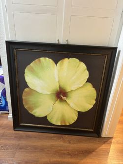 Yellow Hibiscus Portrait