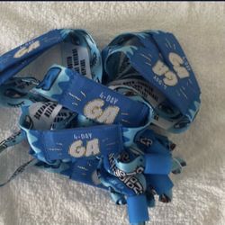Lollapalooza 4 Day GA Pass 