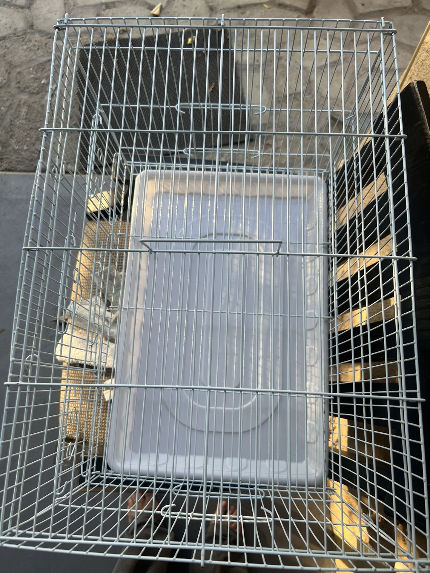 Bird Cage