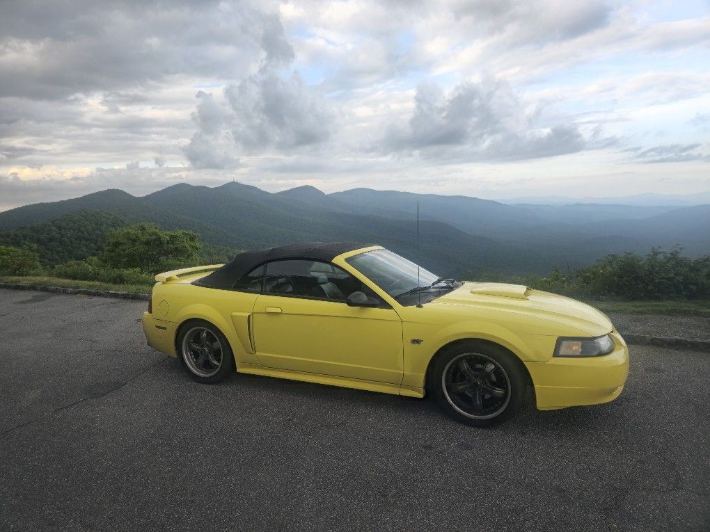 2001 Ford Mustang