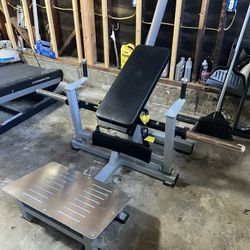 Hip Thrust Commercial Machine 