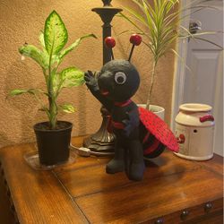 Porta Maseteros , Plant Holders 