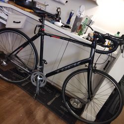 Trek Domane 2 series