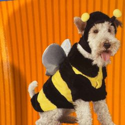 Brand new dog costume for 21 to 30 pound dogs
