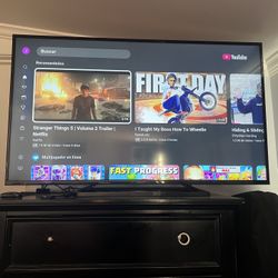 Panasonic Roku Tv 45x28 In Good Working Condition 