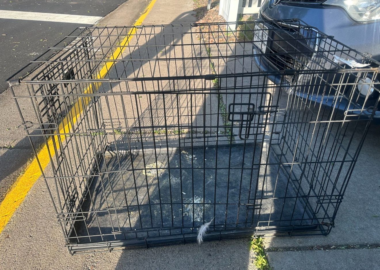 Dog Cage 