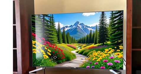 55" Roku TCL Smart